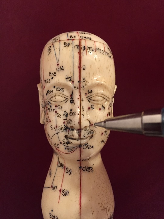 Acupuncture model